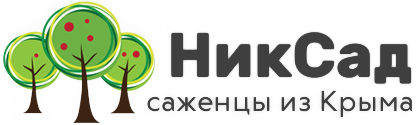 НикСад